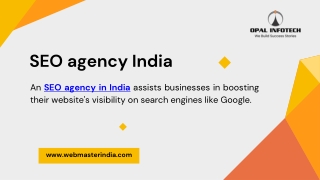 SEO agency india (1)