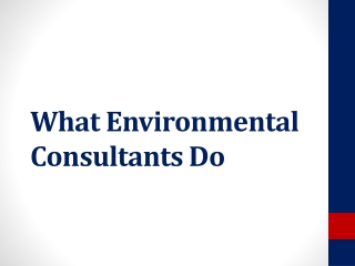 What Environmental Consultants Do