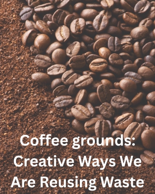 Coffee grounds Creative Ways We Are Reusing Waste