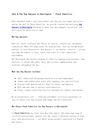 Safe & Fun Dog Daycare in Barrington – Pooch Pawsitive