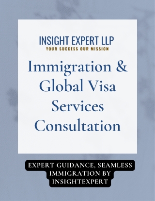 Expert Guidance, Seamless Immigration By Insightexpert