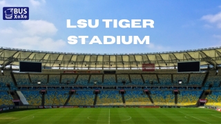 LSU tiger stadium
