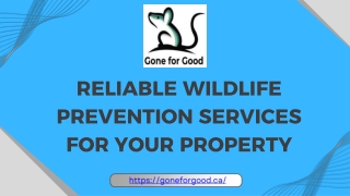 Reliable Wildlife Prevention Services for Your Property