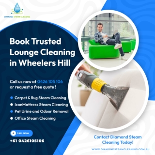 Book Trusted Lounge Cleaning Services in Wheelers Hill Today