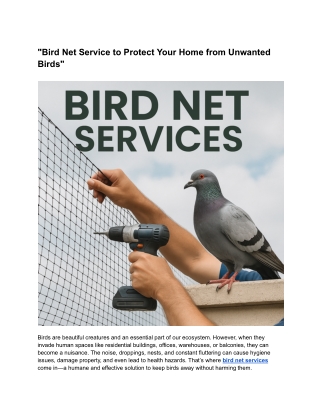 Bird Net Service to Protect Your Home from Unwanted Birds