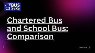 _Chartered Bus vs School Bus