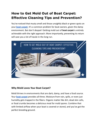 How to Get Mold Out of Boat Carpet_ Effective Cleaning Tips and Prevention