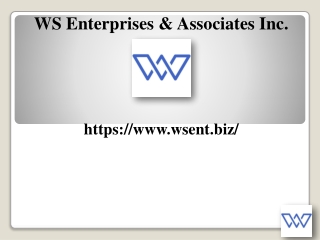 Radial Pulse Shockwave High-Performance Therapy Devices on Sale for the Pacific Northwest,wsent.biz