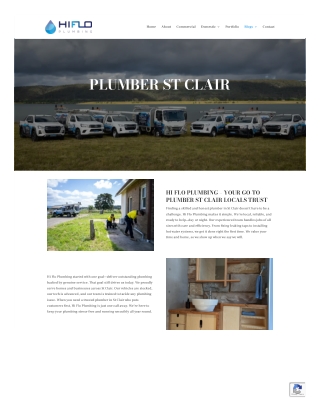 Professional Plumbing Services in St Clair