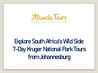 Kruger Safari from Johannesburg Explore the Wild