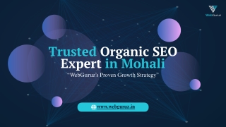 Best Organic SEO Expert in Mohali for Reliable Online Growth