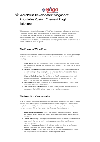 WordPress Development Singapore_ Affordable Custom Theme & Plugin Solutions