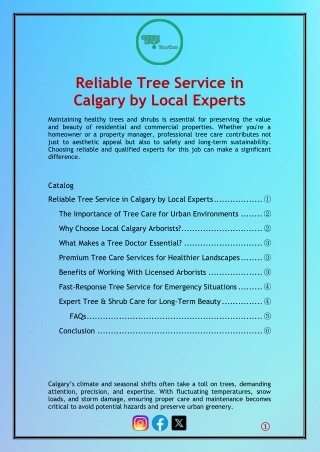 Reliable Tree Service in Calgary by Local Experts