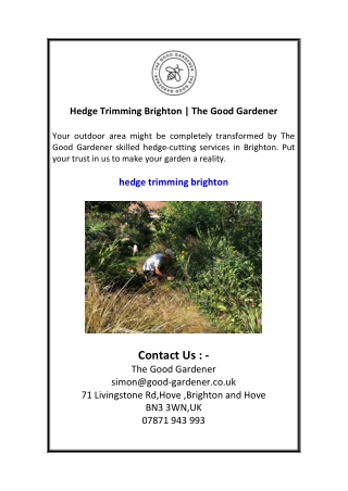 Hedge Trimming Brighton  The Good Gardener