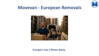 Best European removals