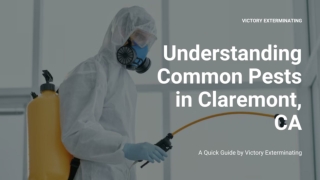 Understanding Common Pests in Claremont, CA