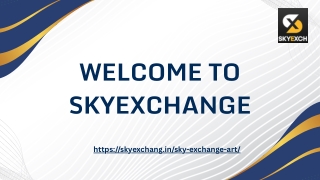Behind the Screens: Exploring the Creativity of Sky Exchange