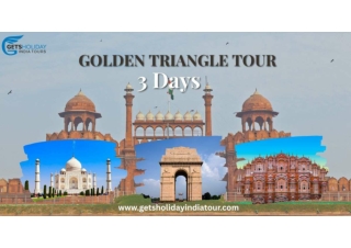 Golden triangle tour 3 Days