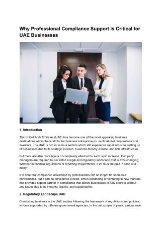 Why Professional Compliance Support is Critical for UAE Businesses