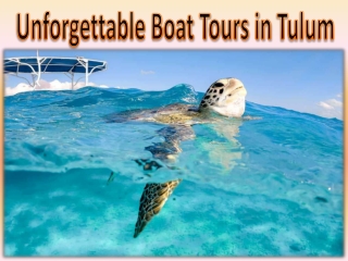Unforgettable Boat Tours in Tulum
