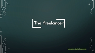 freelance digital marketer