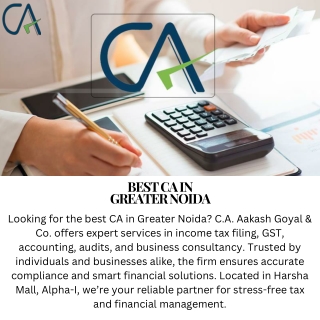 Ca near metro station in greater noida