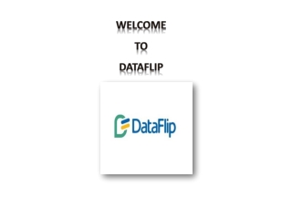 DataFlip