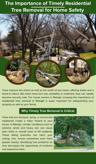 The Importance of Timely Residential Tree Removal for Home Safety