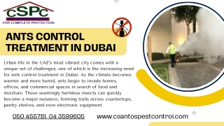 Effective Ants Control Treatment in Dubai for a Healthier Living Environment