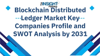 Blockchain Distributed Ledger Market