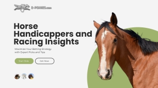 Expert Horse Handicappers' Picks for Winning Betting Strategies