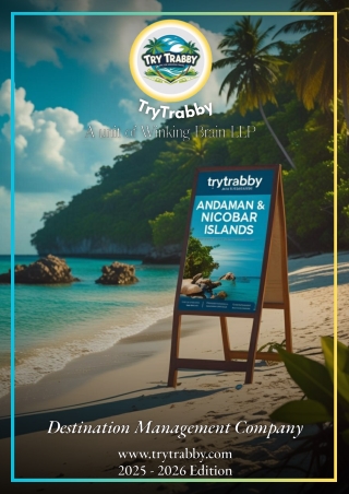 TryTrabby Customer Reviews