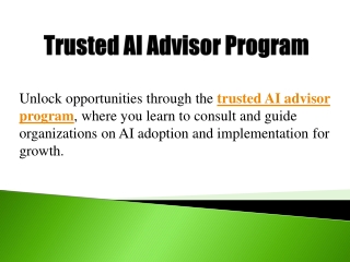 Trusted AI Advisor Program