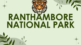 Ranthambore National Park Travel Guide