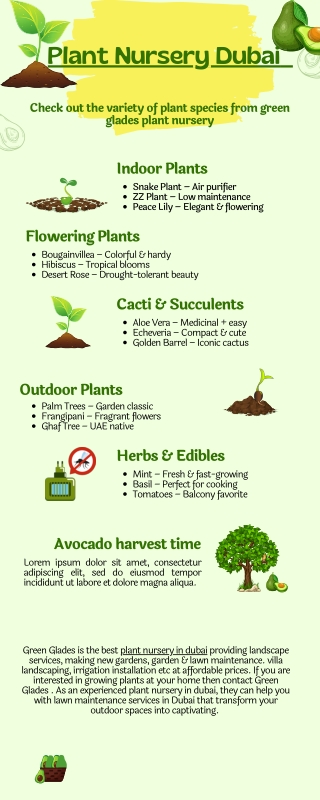 Plant Nursery Dubai