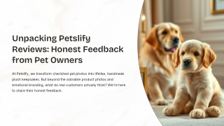 Unpacking-Petslify-Reviews-Honest-Feedback-from-Pet-Owners