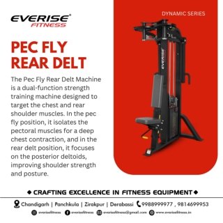 Pec Fly Rear Delt PDF