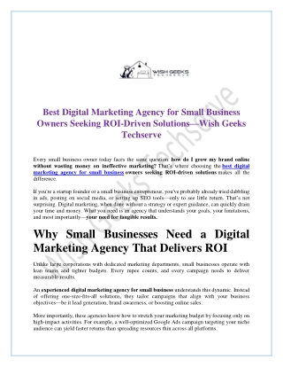 Best Digital Marketing Agency for Small Business Owners Seeking ROI-Driven Solutions—Wish Geeks Techserve