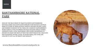 Ranthambhore National Park