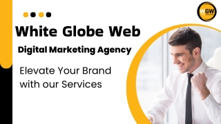 Elevate Your Brand with White Globe Web – Jabalpur’s Digital Experts