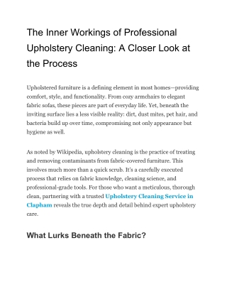 The Inner Workings of Professional Upholstery Cleaning_ A Closer Look at the Process