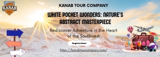 White Pocket Wonders Nature’s Abstract Masterpiece