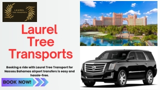 Bahamas taxi service