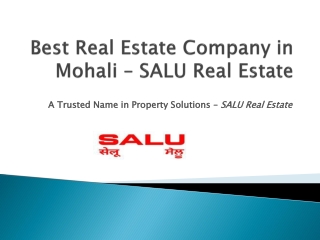 Best Real Estate Company in Mohali – SALU