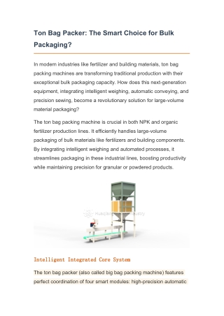Ton Bag Packer: The Smart Choice for Bulk Packaging?