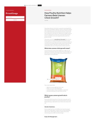 how poultry nutrition helps farmers beat uneven chick growth