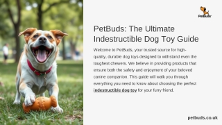 PetBuds-The-Ultimate-Indestructible-Dog-Toy-Guide