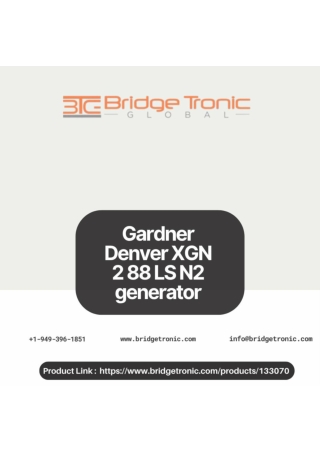 Gardner Denver XGN 2 88 LS N2 generator