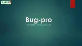 Top Fumigation Companies in Nigeria for Effective Pest Control