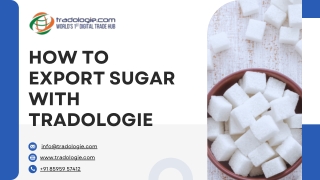 How to Export Sugar with Tradologie: Step-by-Step Guide for Global Traders